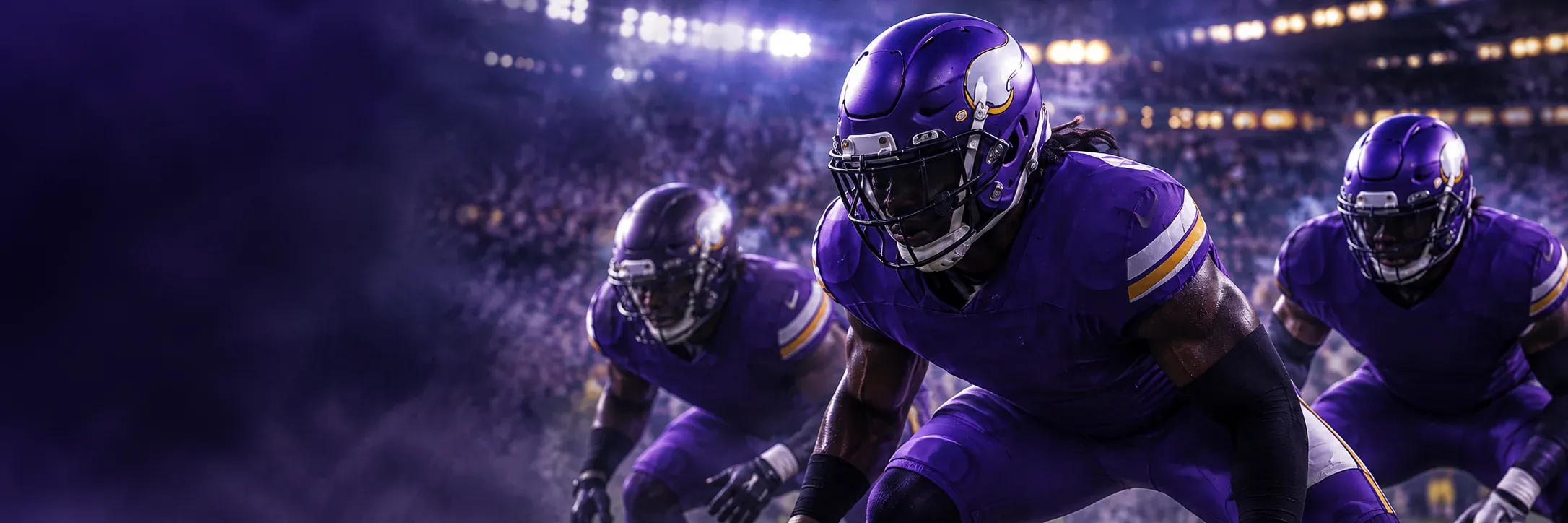 Minnesota Vikings Defense